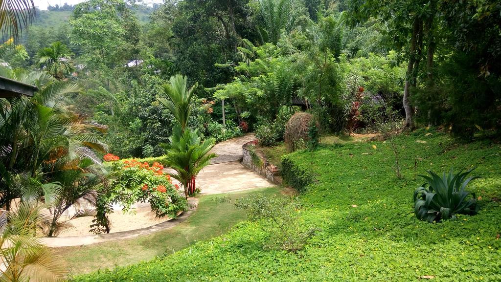 Tea Leaf Retreat Leilighet Kandy Eksteriør bilde