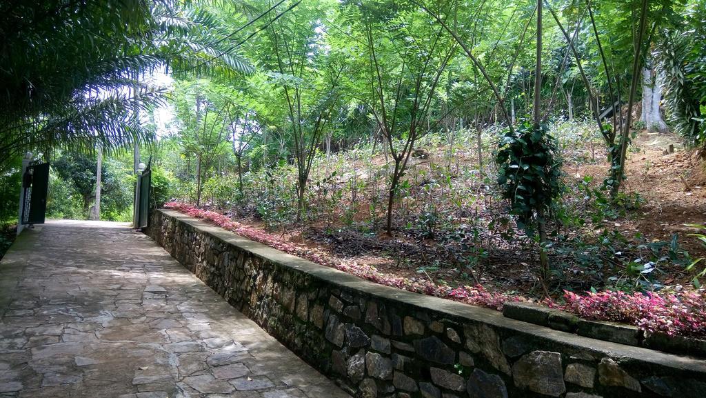 Tea Leaf Retreat Leilighet Kandy Eksteriør bilde